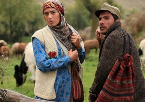 ژیلا شاهی در فیلم سینمایی روییدن در باد